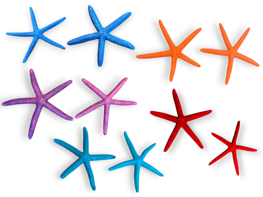 BOLSA ESTRELLA DEDOS 08-10cm (bolsa 25 unid)