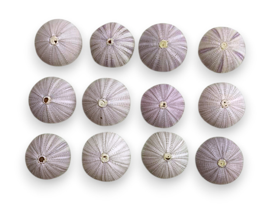 ERIZO LILA 07-08cm (bolsa 12und)