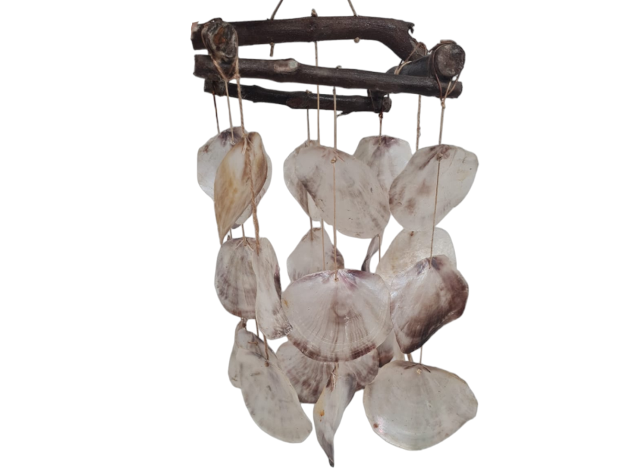 MOVIL WOODCUADRADO 26 OSTREAS