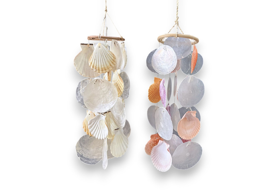 MOVIL PECTEN RADULA W/CAPIZ 10x40cm 2 mod. pack 4