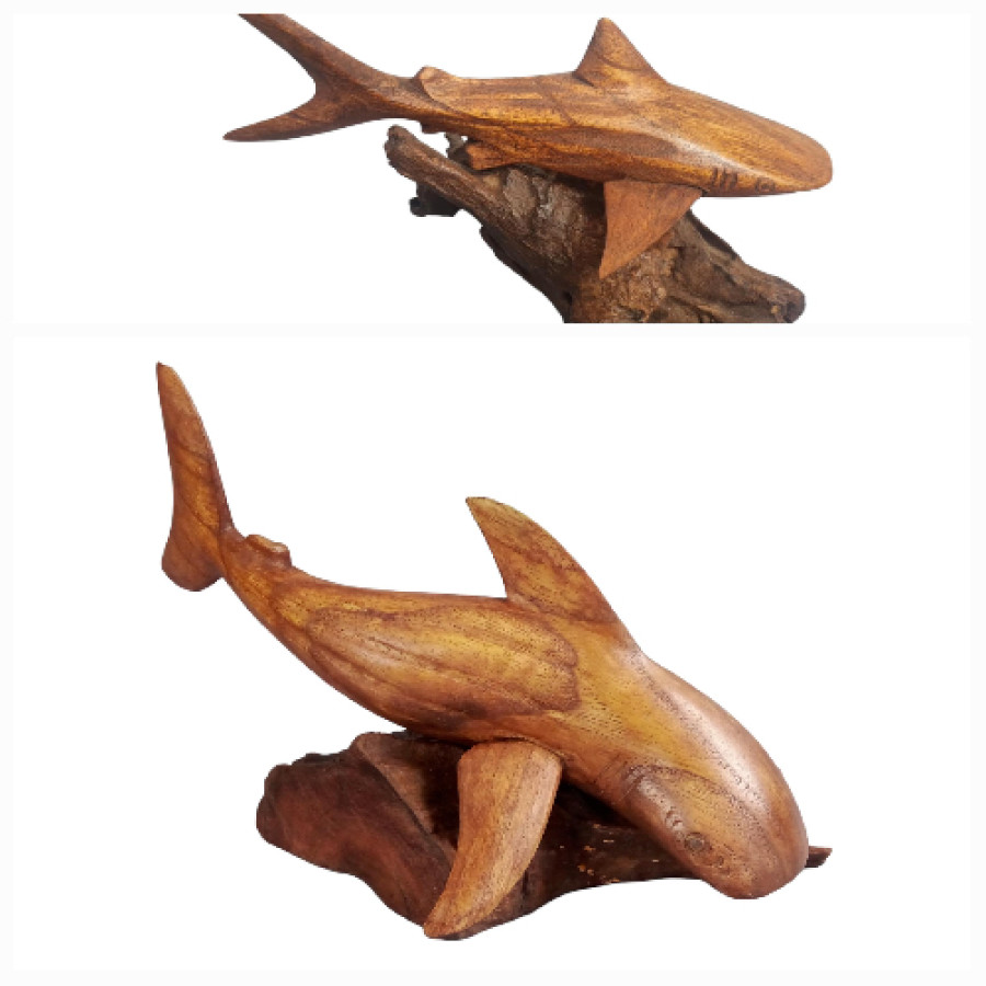 TIBURON BALLENA JEMPINIS