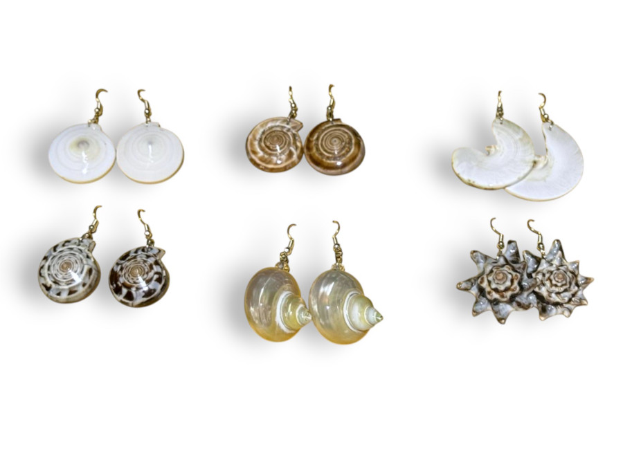 Y.Pte.MA-26501 CONCHAS