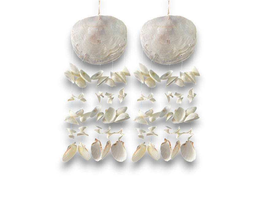 DECO OSTREA BLANCA SHELLS Pack 6