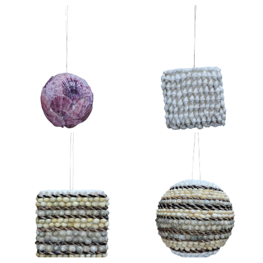 SET COLGANTES CONCHA (ultima unidad)