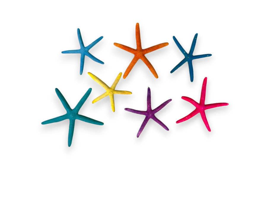 BOLSA DEDOS MULTICOLOR 05-07 cm (bolsa 25 und)