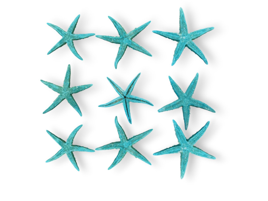 BOLSA E.FLAT TURQUESA 08-10cm bolsa 25