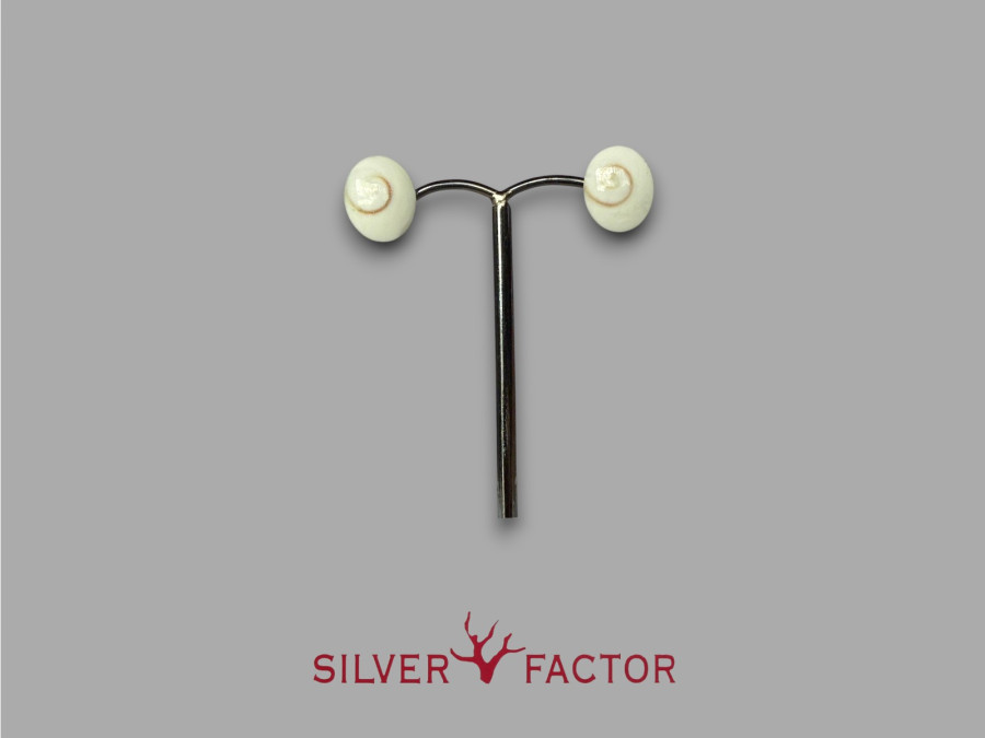 PTES.AG.SHIVA OVAL SIMPLE 10x12