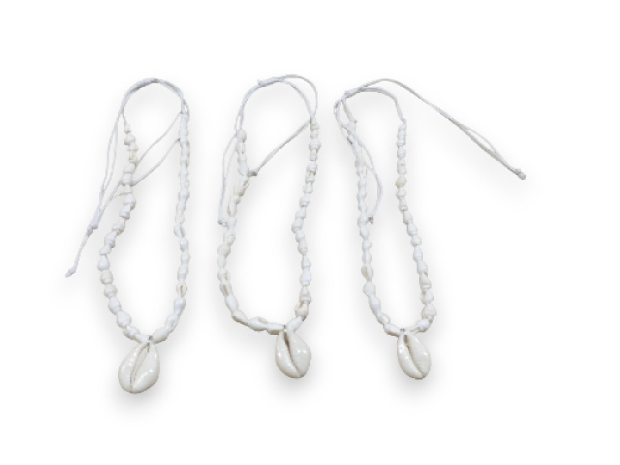 C.CA-22321 NASSA BLCA+MONETA pack 12