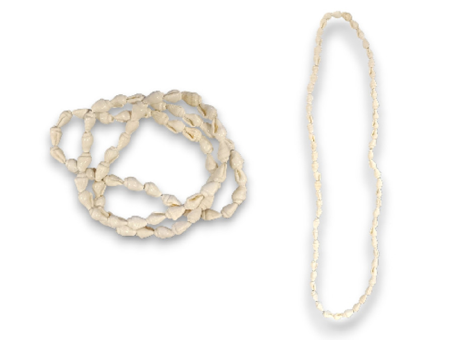 C.O-2245 NASSA BLCA.90cm pack 12