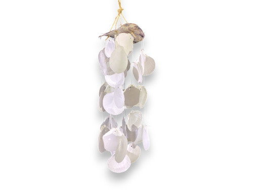 OSTREA 13cm+10 TIRAS SUNMOON 45cm pack 6