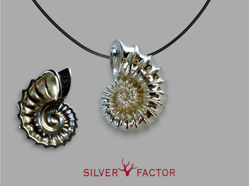 COLGTE.AG.ARGONAUTA 25mm