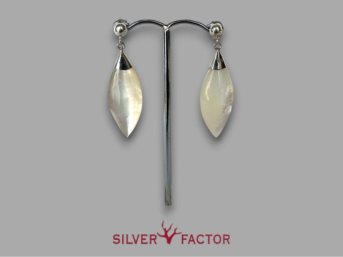 PTES.AG.MOP PLUMA 30mm PRESION