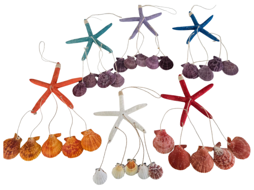DECO E.DEDOS PECTEN 30cm 6 colors pack 12