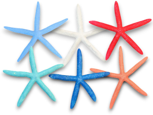 ESTRELLA DEDOS 17-20cm