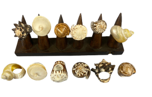 A.MA-23120 CONCHA 6 mod. pack 24